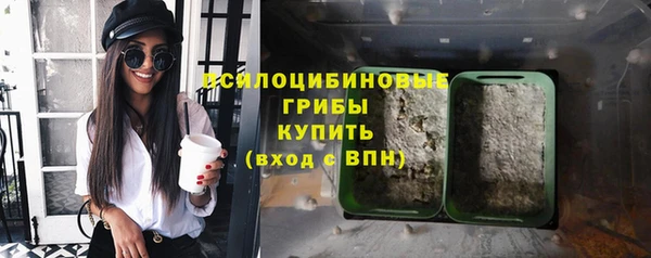 кокс Арсеньев