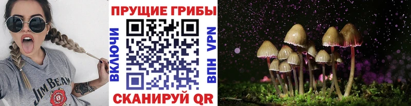 Галлюциногенные грибы прущие грибы  как найти   Североуральск 